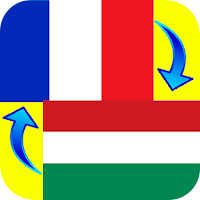 French - Hungarian Translator