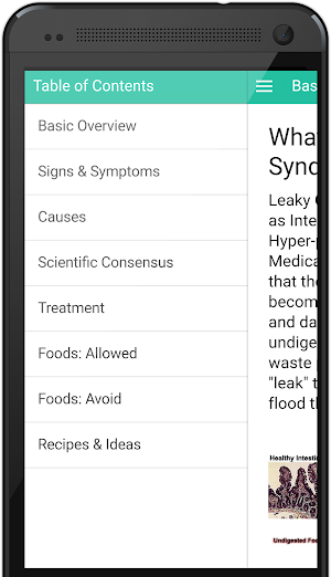 Leaky Gut Guide Screenshot 1