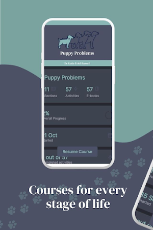 Positive Pet Behaviour Vet Screenshot 3