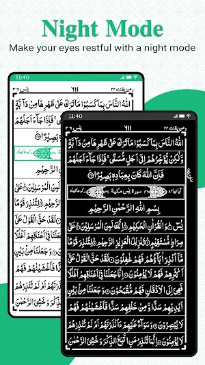 Read Quran Offline AlQuran Screenshot 1