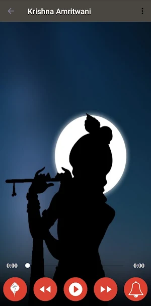 Shree Krishna Amritwani Screenshot 1