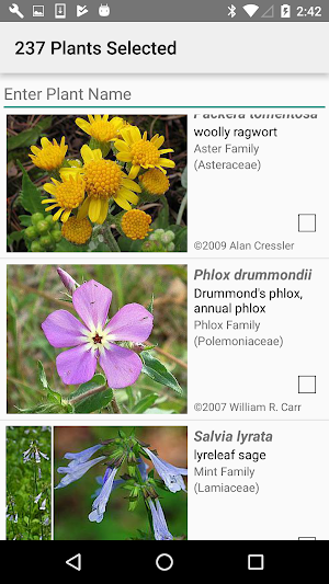 North Carolina Wildflowers Screenshot 2