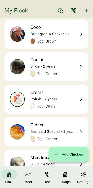 Pecking Order Screenshot 2