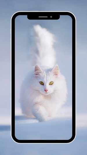 Cute Animal Wallpaper Screenshot 1