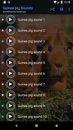 Guinea pig Sounds ~ Sboard.pro Screenshot 3