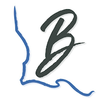 Bayou Auto
