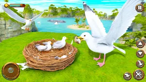 Seagull Bird Life Simulator Screenshot 3