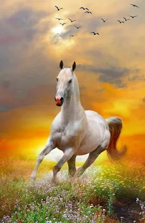 Beautiful horses Screenshot 2