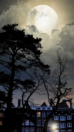 Moon Wallpaper Screenshot 2