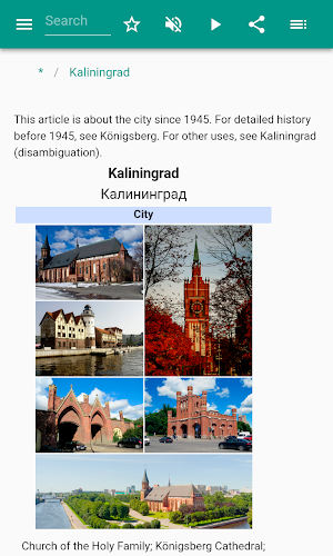 Kaliningrad Screenshot 1