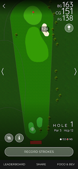 World of Golf Screenshot 3