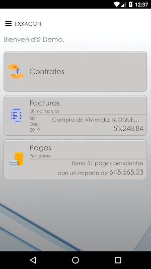 Sistema de Información EXXACON Screenshot 1