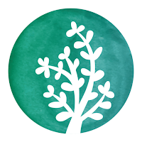 The Branches Yoga