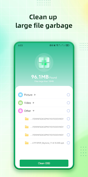 Green Cleaner Screenshot 1