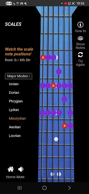 FretChamp: Fretboard Trainer Screenshot 1