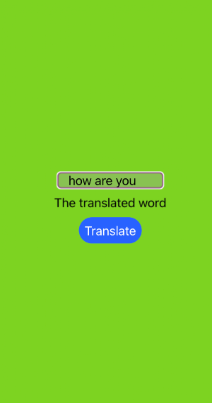Translator App Screenshot 1