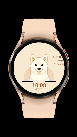 jindo cute_dog_001 Screenshot 0
