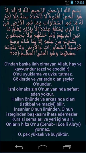 Namaz Sureleri ve Duaları Sesli Screenshot 3