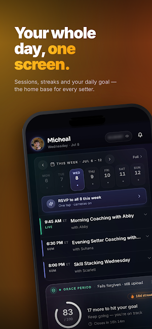 ST Sales Screenshot 0