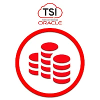 TSI Rendiciones