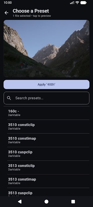 Ergonomic Raw Developer Screenshot 3