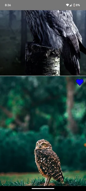 Owl Wallpaper World Screenshot 3