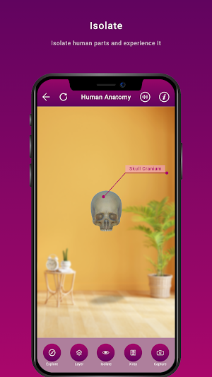 Human Anatomy Screenshot 3