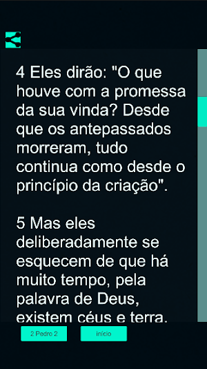 2 Pedro Bíblicos Screenshot 3