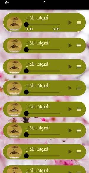 اجمل اصوات الاذان 2025 دون نت Screenshot 2