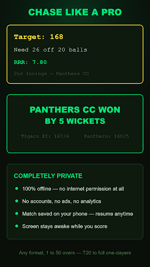 Cricket Scoreboard Screenshot 2