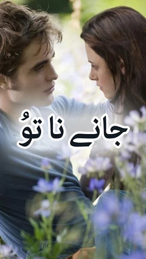 Janay Na Tu by Ana Ilyas- Urdu Novel Offline Screenshot 0