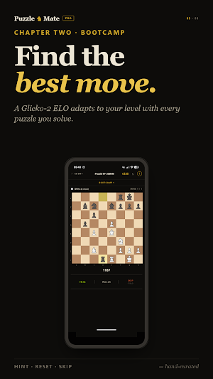 PuzzleMate — Chess Puzzles Screenshot 3