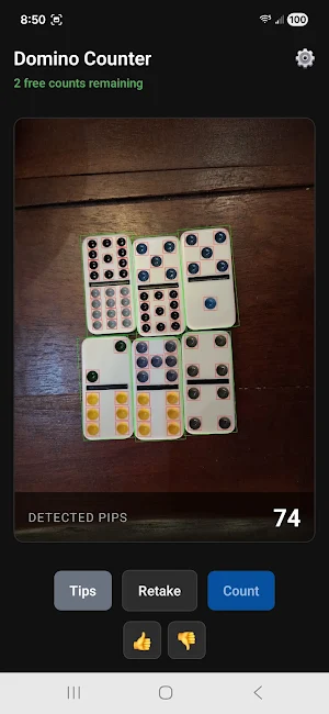 AI Domino Pip Counter Screenshot 2