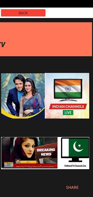 India and pakistan tv channel Screenshot 0