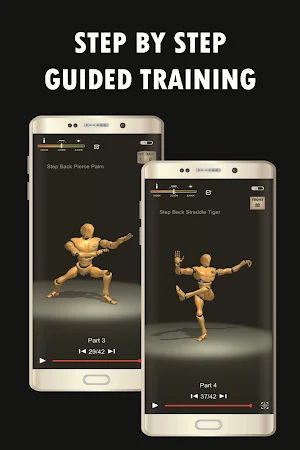 Tai Chi Trainer Screenshot 2