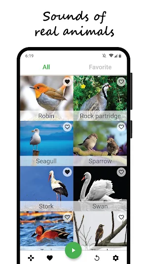 Bird sounds Screenshot 2