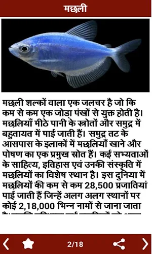 Animal Information in Hindi Screenshot 3
