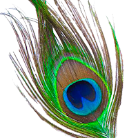 Vanik Parivar