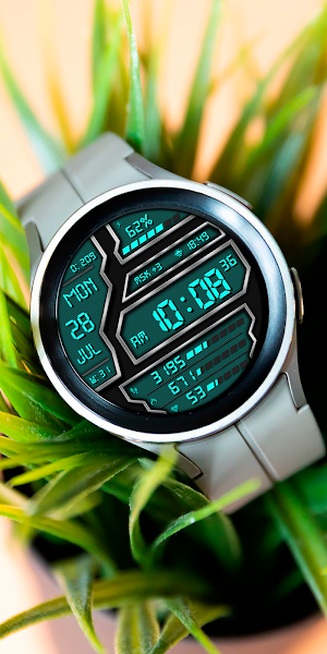 DIGI DELTRON CTS31 Watch face Screenshot 3