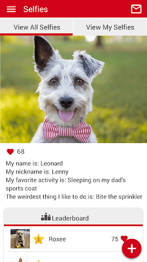 Dr Carrs Dog & Cat Repair Screenshot 1