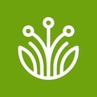 Grassy Hosting