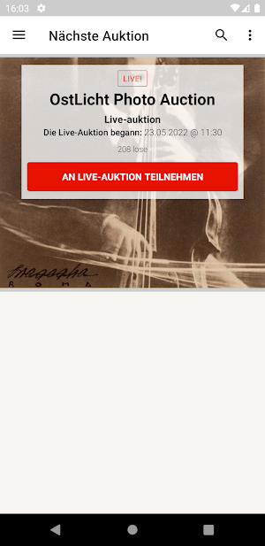 OstLicht Auction Screenshot 0