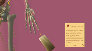 Arloon Anatomy AR Screenshot 3