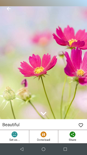 FlowerWall: Flower Wallpaper and Flower Images App Screenshot 3