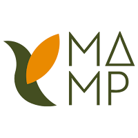MAMP