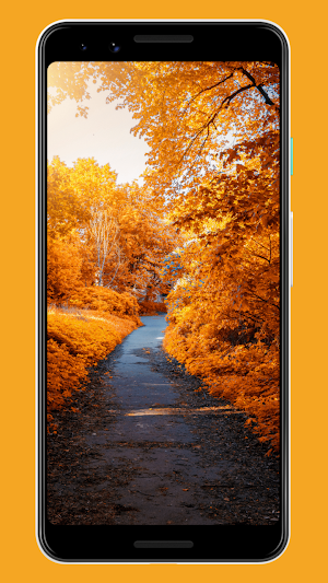 Fall Wallpapers & Backgrounds Screenshot 2