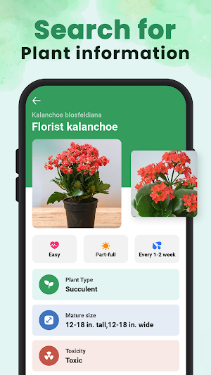 Plant Identifier - iplant Screenshot 1