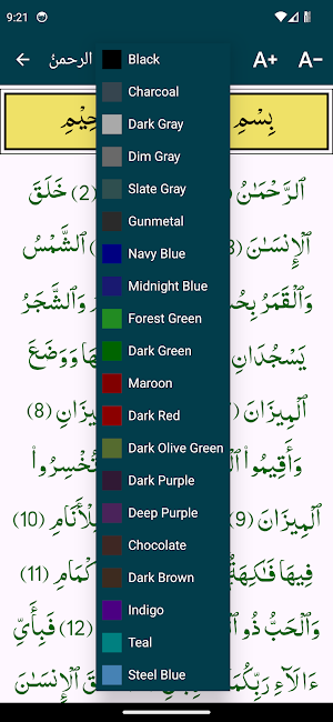 Audio Surah Rahman Screenshot 3