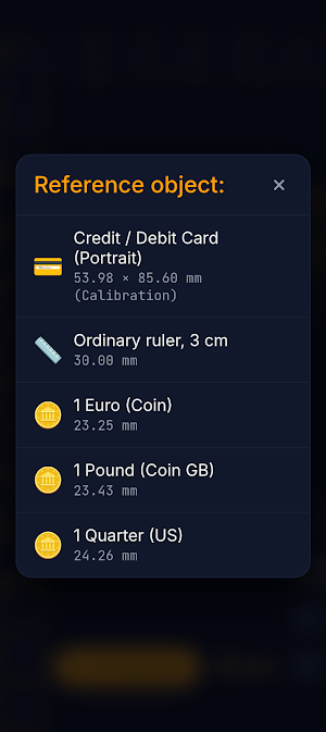 And Ruler Screenshot 3