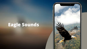Eagle Sounds Screenshot 0